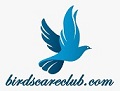 Bird Accessories Online | Bird Water Feeder | Birds Care Club